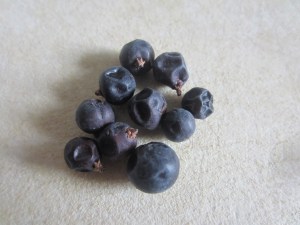 ?????????????????????????