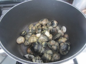 ?????????????????????????