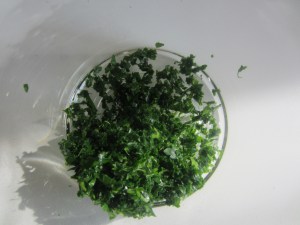 ?????????????????????????