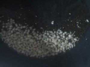 ??????????????????????????