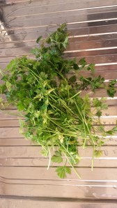 ?????????????????????????