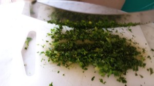 ?????????????????????????