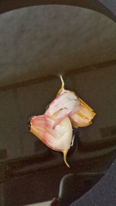 ?????????????????????????