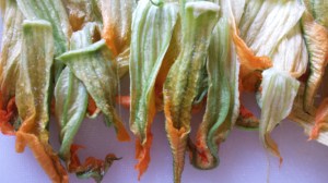 ??????????????????????????