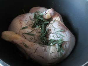 ??????????????????????????