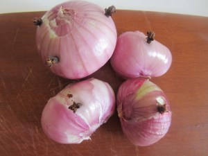 ??????????????????????????