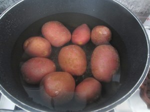 ??????????????????????????