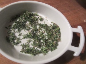 ??????????????????????????