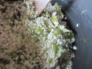 ?????????????????????????