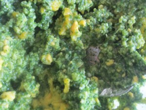 ??????????????????????????